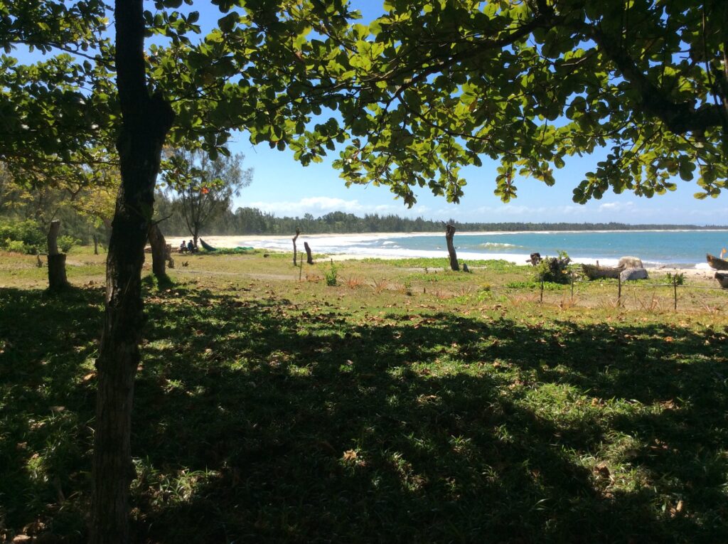 View by the beach
