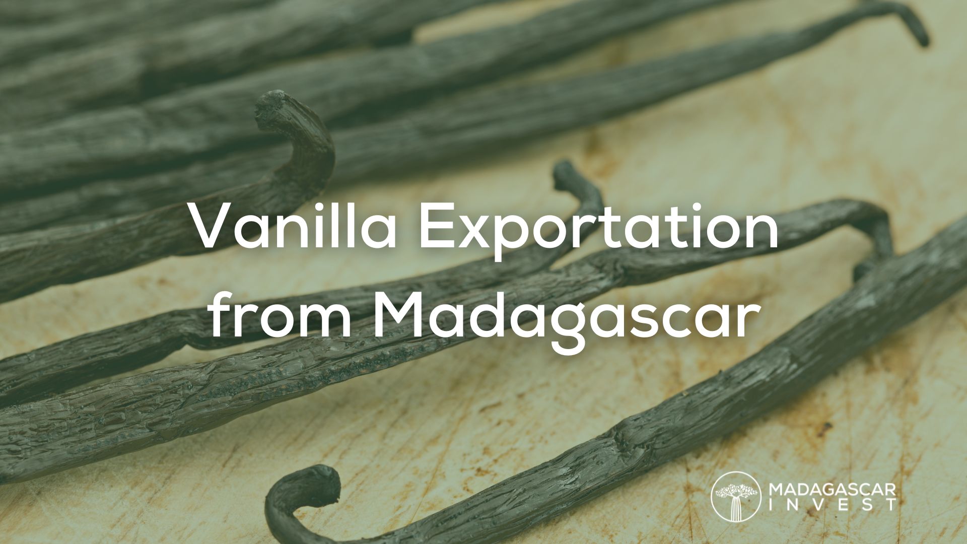 image of vanilla being exported from madagascar