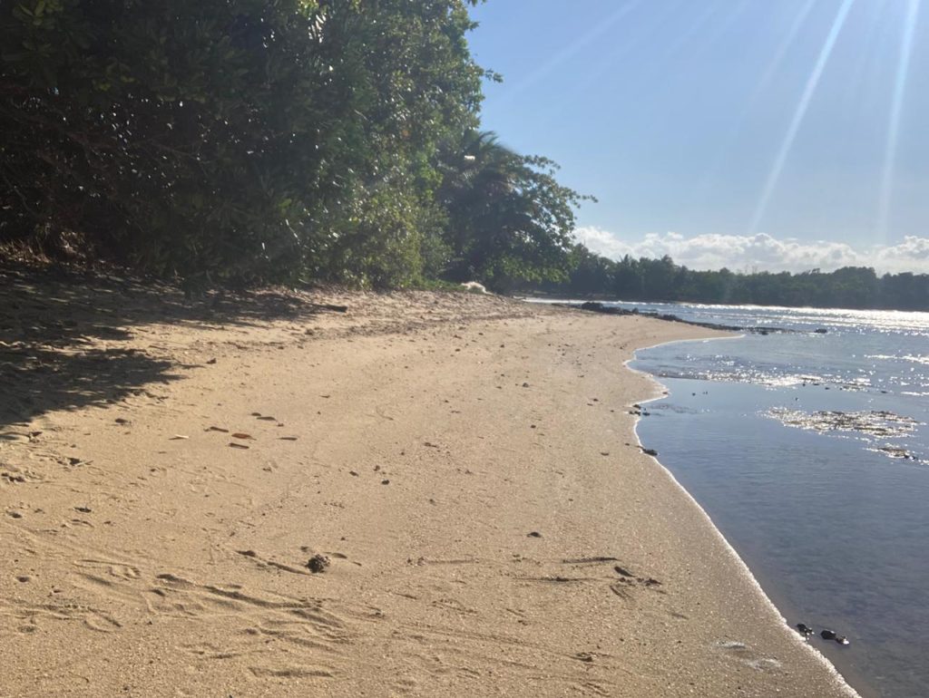 Beachfront Fenerive Est 2789 m2