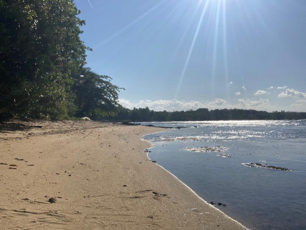 Beachfront Fenerive Est 2789 m2 2