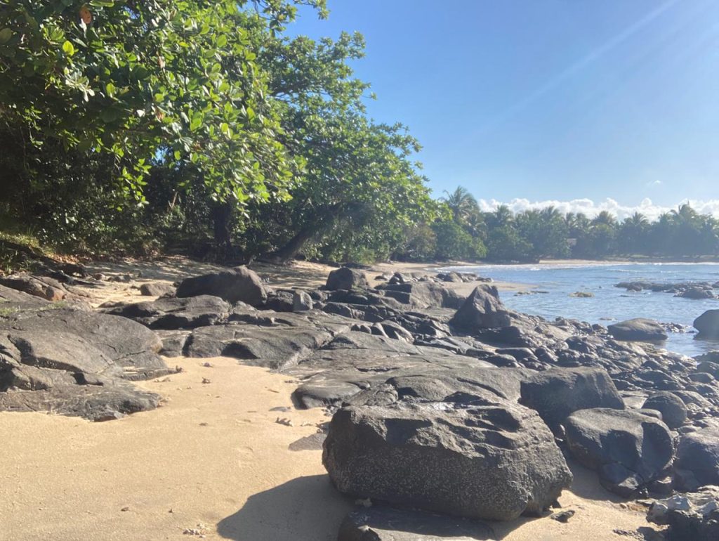Beachfront Fenerive Est 2789 m2 3