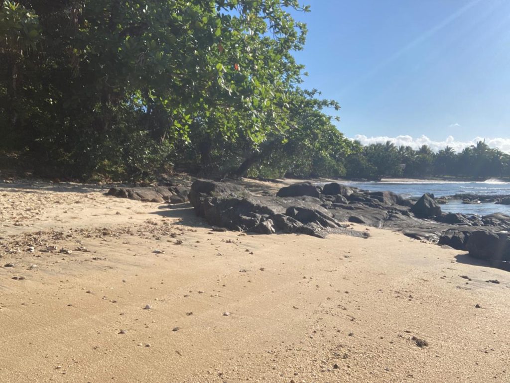 Beachfront Fenerive Est 2789 m2 4