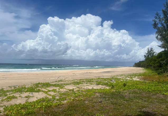 image showing a beautiful and secluded beachfront land on sainte marie island in madagascar