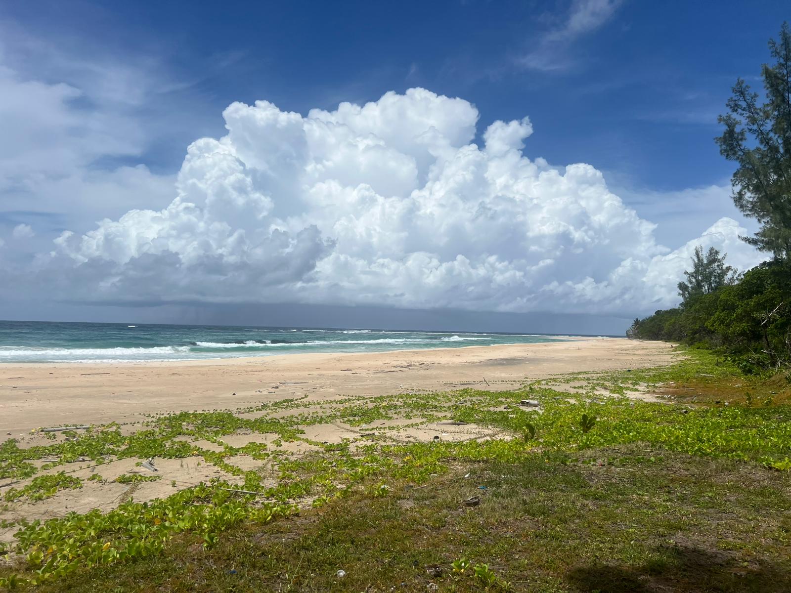 image showing a beautiful and secluded beachfront land on sainte marie island in madagascar