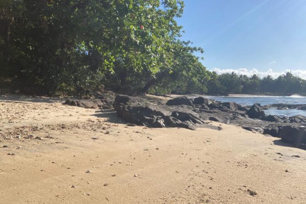 Beachfront Fenerive Est 2789 m2 4